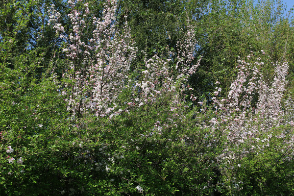 �ݴ����ӣ��