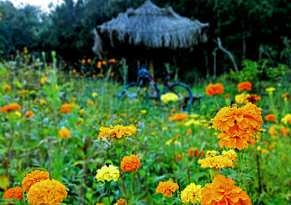 ��ɽ�л��ܼ������