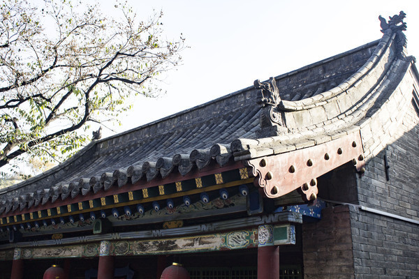 �¹�ľ����