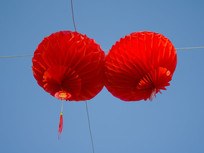 �������������