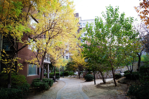 ������ľ�����