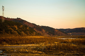 ɽ����̲ĺɫ