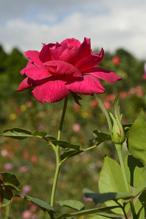 һ�����˵ĺ��¼�