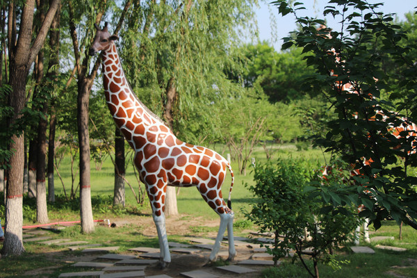 ����¹���