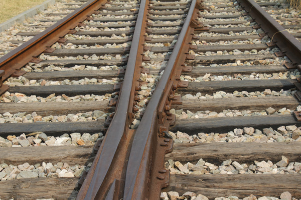 ������԰������������