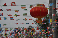 ���ֲ���ƮƮ