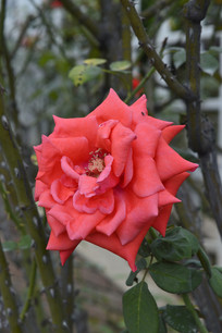 ���ϻ���Ʒ���¼���