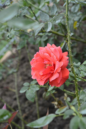 �����Ϳ��ĺ��¼�