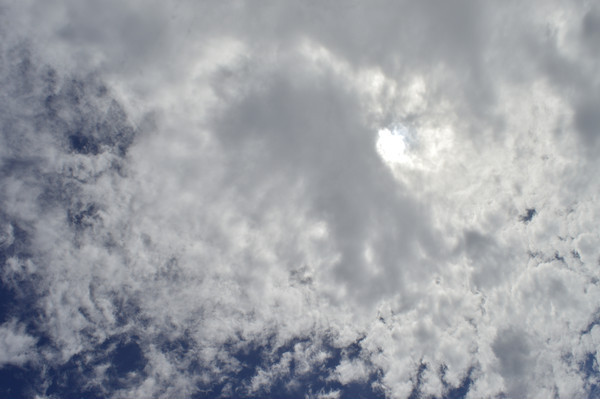 ���׵��Ʋ�