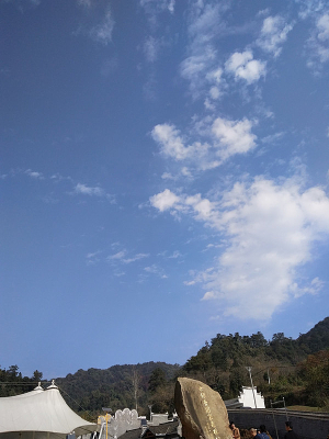 ������ɭ�ֹ�԰