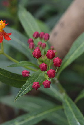 �����������