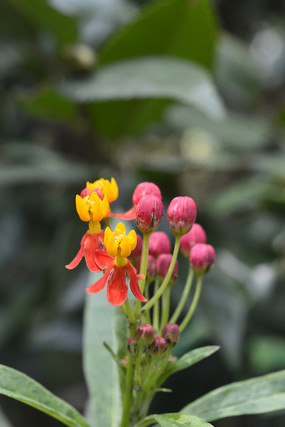 ������仨��