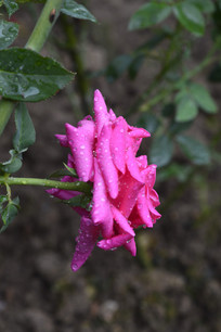 õ��ɫ�¼���