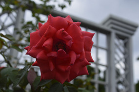 ÿ�¿������¼���