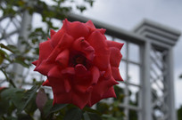 ÿ�¿������¼���