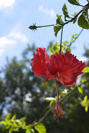 ��������һ��컨��ɣ