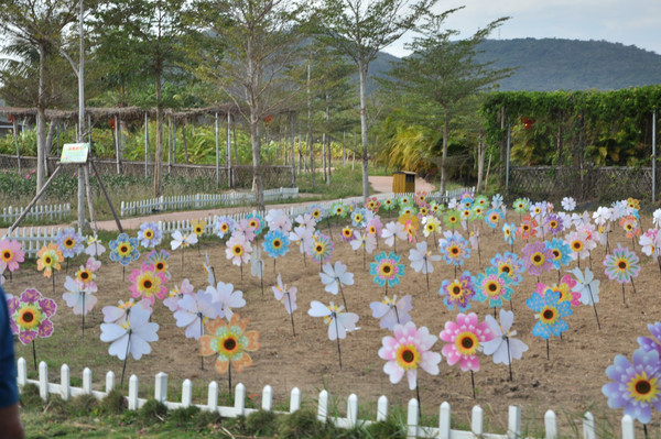 ���컨�ĺ���