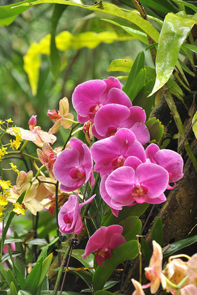 ʢ���ĺ�����