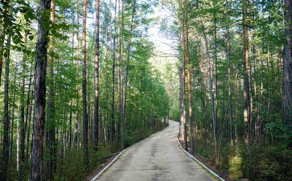 ����С��