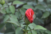 С������ĺ�õ�����ͼ