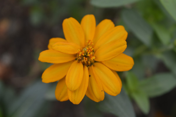 һ���ɫ���վջ���