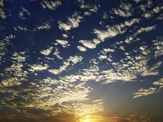 �ƺ�����