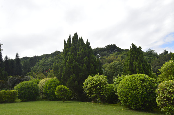 ��̨��԰�̻�������ľ