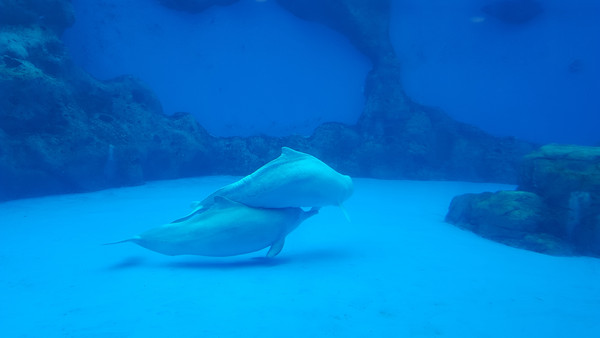 ����ĺ��� 