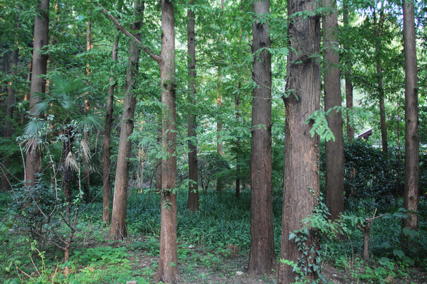 ���ݻ���·�ϱ�ɫ����