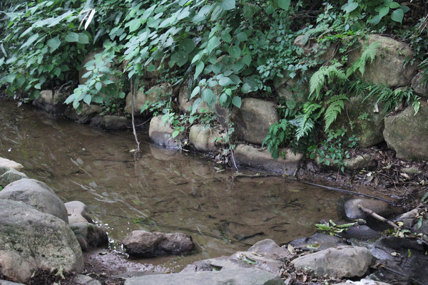 ����é�Ҳ�ˮ����ݴ�