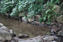 ����é�Ҳ�ˮ����ݴ�