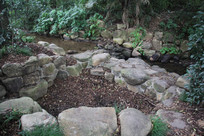 ����é�Ҳ���ľ��ˮ��