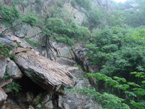 ����ɽϿ��