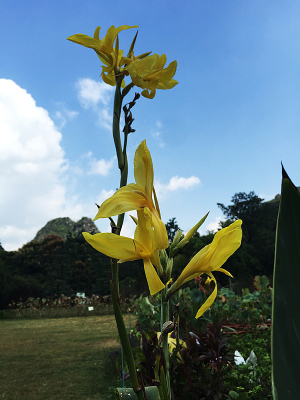 ��ɫ���˽�