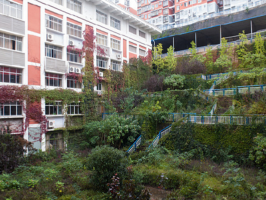 �����̻�