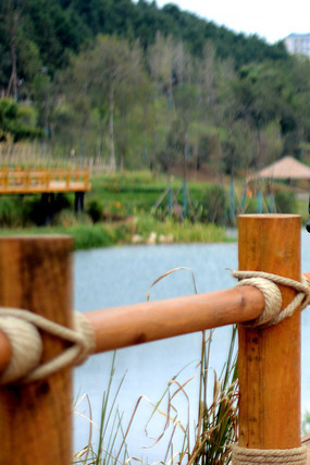 ���ߵ�ľ�ʻ�����д