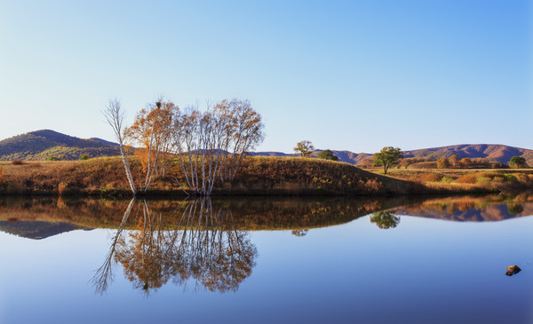 ����İ�������Ӱ 