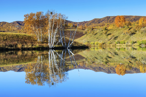 �������ľɽ�͵�Ӱ 