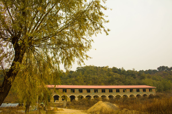 ������¥��ǰ����