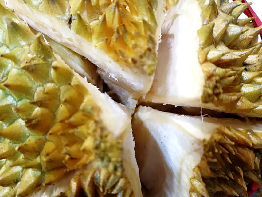 �п�������