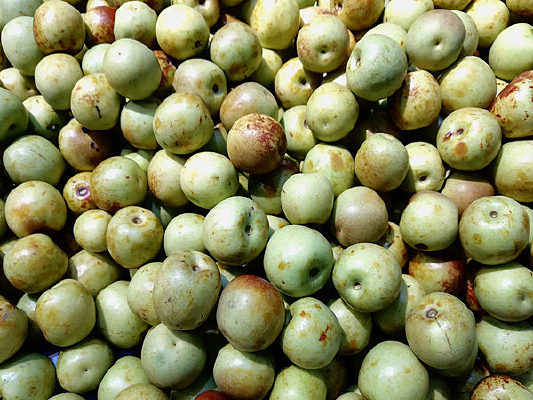 ˮ������