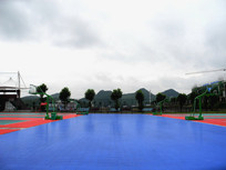 ����ɫ�ܽ�