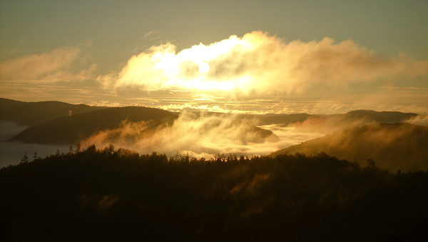 �ճ�����