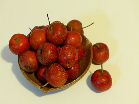 ɽ�ˮ�����