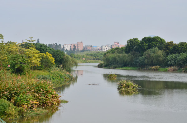 ʪ�غ������ͼƬ