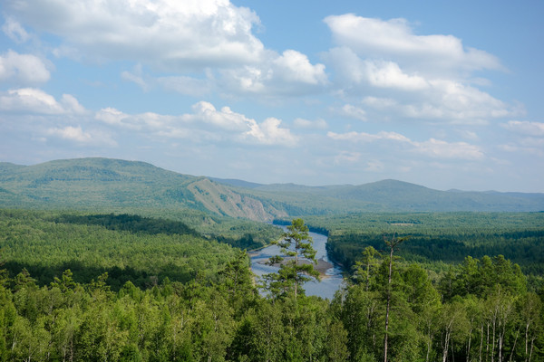 �˰����ֺ�