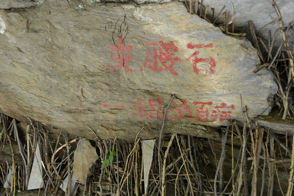 �������ϵ�֧��ʯ