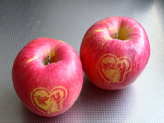 ������ƻ��