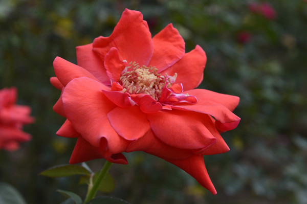 ����һ���