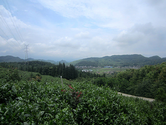 �����µĲ�԰